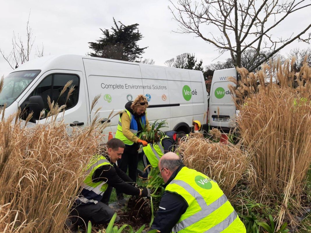 Verdé supporting Greystones Tidy Towns