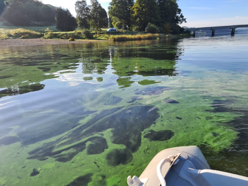 Verdé lake water quality monitoring — sampling equipment lowered from a survey boat into clear shallow water beside an Irish lakeshore